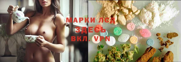 крисы Бугульма