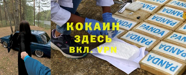 индика Верея