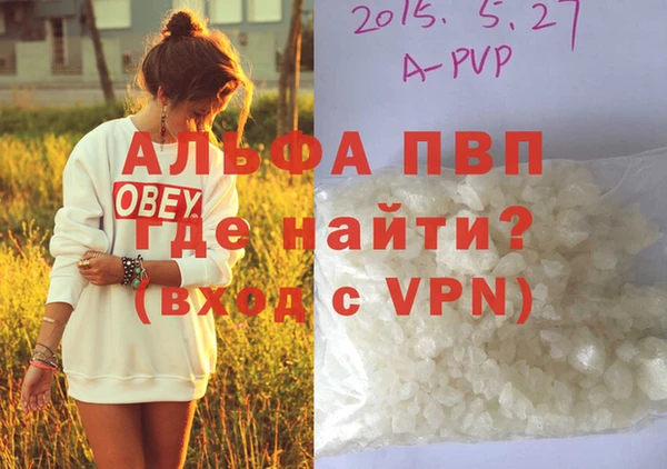 индика Верея