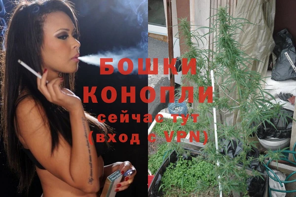 индика Верея