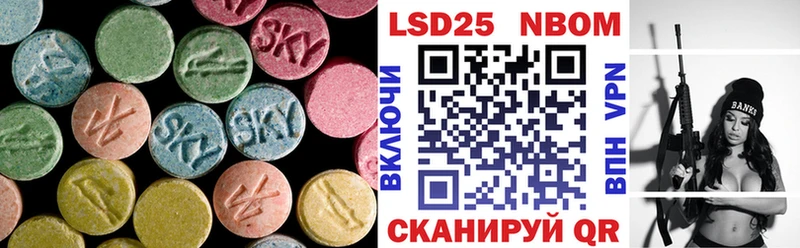 где купить   Каргополь  маркетплейс официальный сайт  ЛСД экстази кислота 
