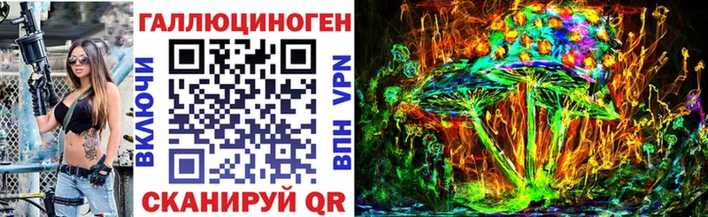 blacksprut Каргополь Псилоцибиновые грибы Psilocybe